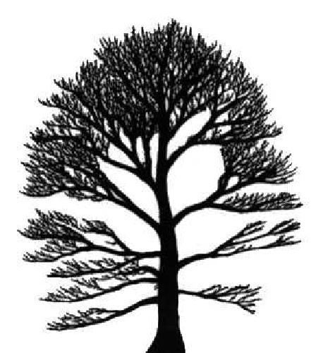 Tree automata techniques and applications