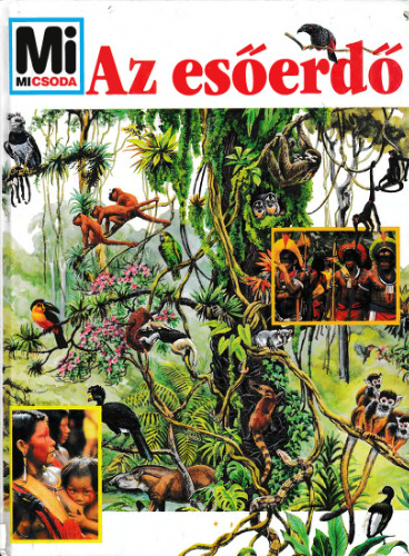 Az ​esőerdő