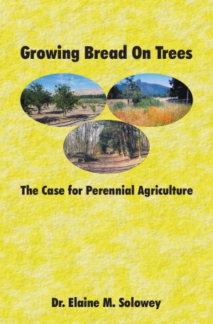 Growing Bread on Trees The Case for Perennial Agriculture
