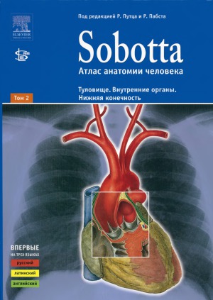 Sobotta. Атлас анатомии человека. В 2-х томах. Туловище. Внутренние органы. Нижняя конечность.