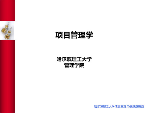 哈理工项目管理学 PMP 讲义