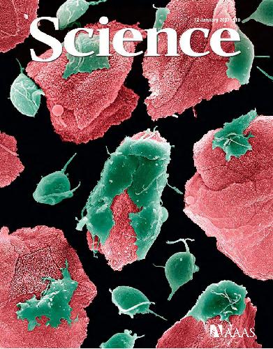 Science (Vol. 315, No. 5809, 12 January 2007)