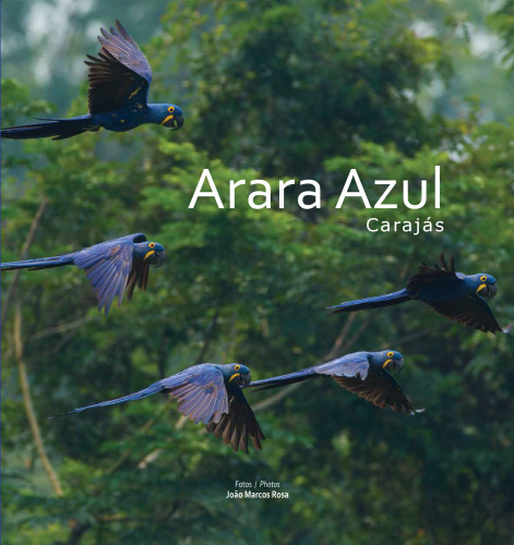 Arara Azul – Carajás