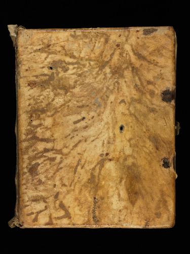 Codex San Gallensis 137 (Ps AUG spe)