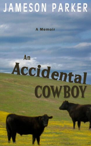 An Accidental Cowboy