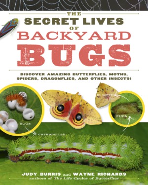 The Secret Lives of Backyard Bugs Discover Amazing Butterflies, Moths, Spiders, Dragonflies, and Other Insects!