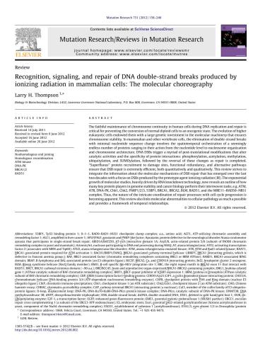 Recognition, signaling, and repair of DNA double-strand breaks produced by ionizing radiation in mammalian cells: The molecular choreography