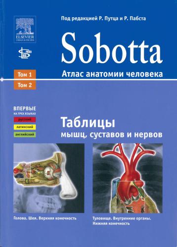 Sobotta. Атлас анатомии человека. Дополнительные материалы