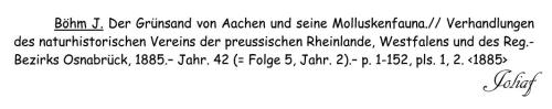 Der Grünsand von Aachen und seine Molluskenfauna