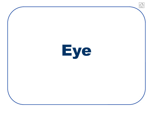 Powerpoint Presentations (Combined in one file) - German New Medicine Psychic Roots Disease