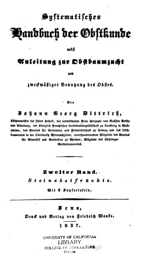 Steinobstfrüchte